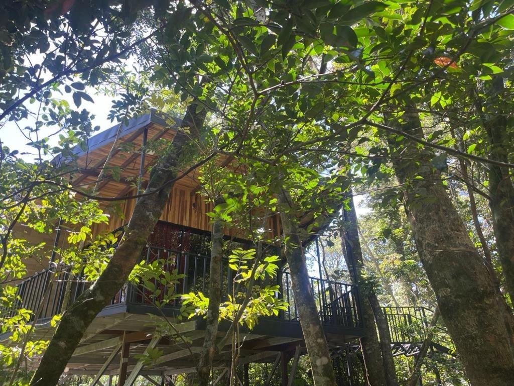 Cabanas Roca Verde Monteverde Zewnętrze zdjęcie