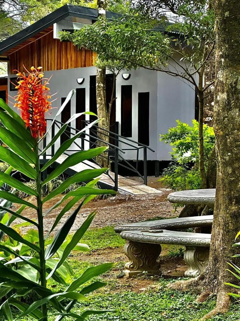Cabanas Roca Verde Monteverde Zewnętrze zdjęcie
