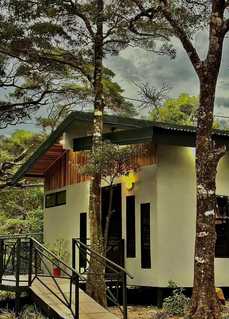 Cabanas Roca Verde Monteverde Zewnętrze zdjęcie