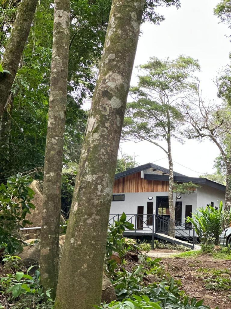Cabanas Roca Verde Monteverde Zewnętrze zdjęcie